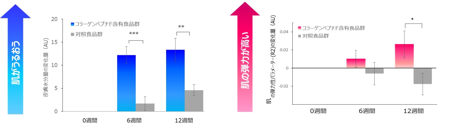 肌のうるおいと弾力に関するグラフ