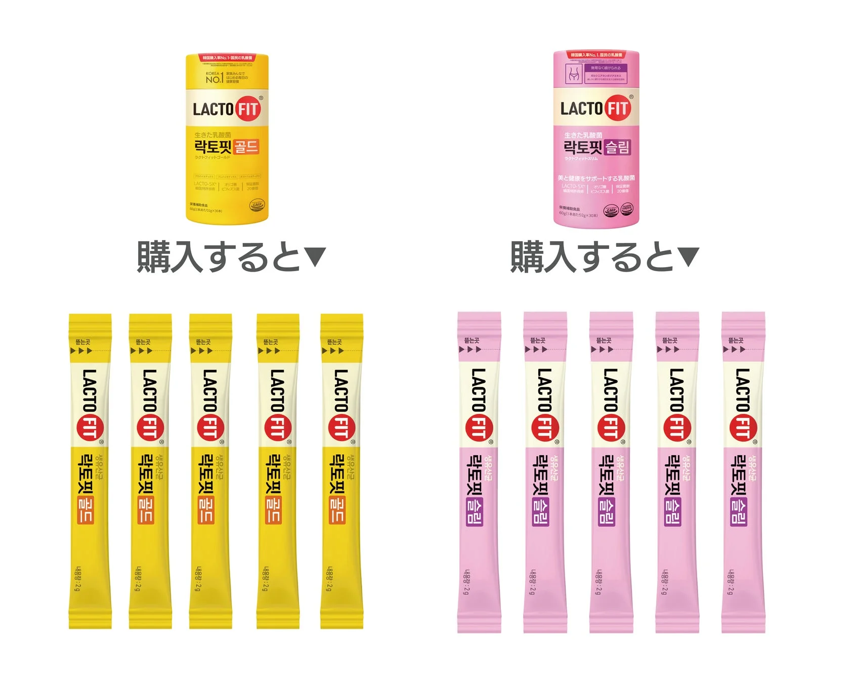 LACTOFIT5本プレゼント イメージ