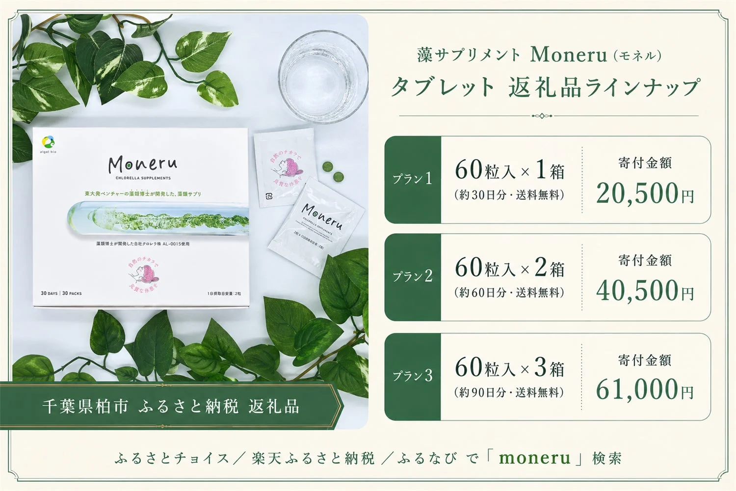 返礼品ラインナップ