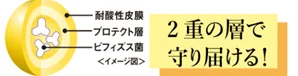 ビフィズス菌カプセルのイメージ図