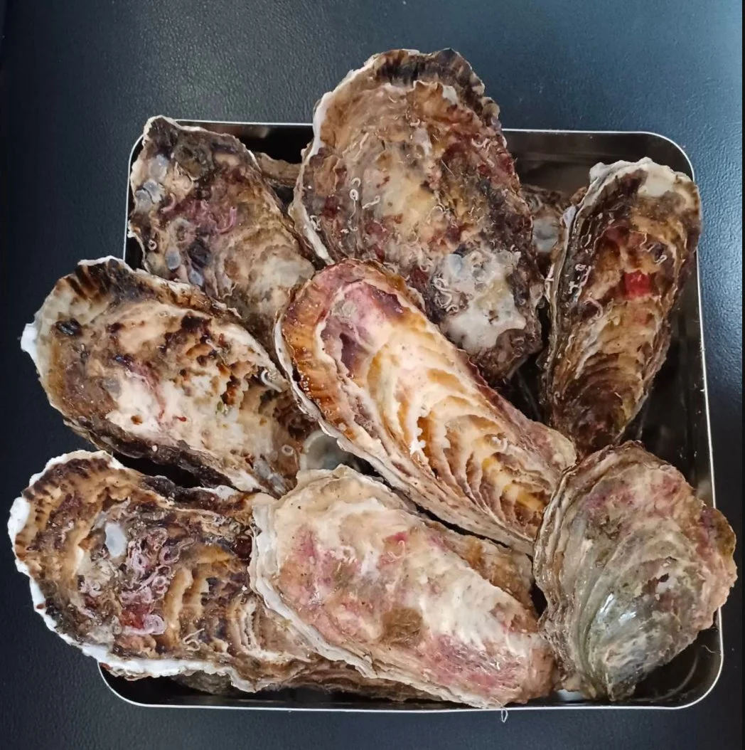 三陸産真牡蠣