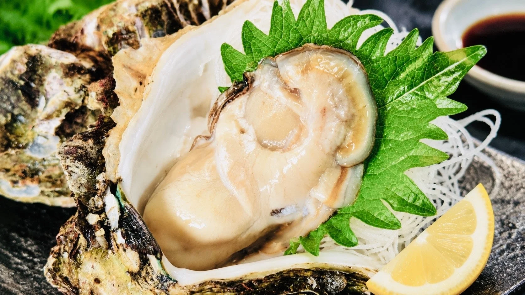 大粒生岩牡蠣