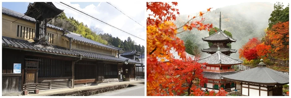 奥大和の美しい街並みと自然の風景