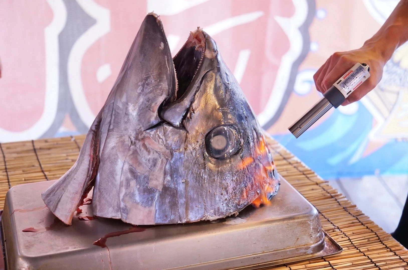 マグロのカブト炙り焼き