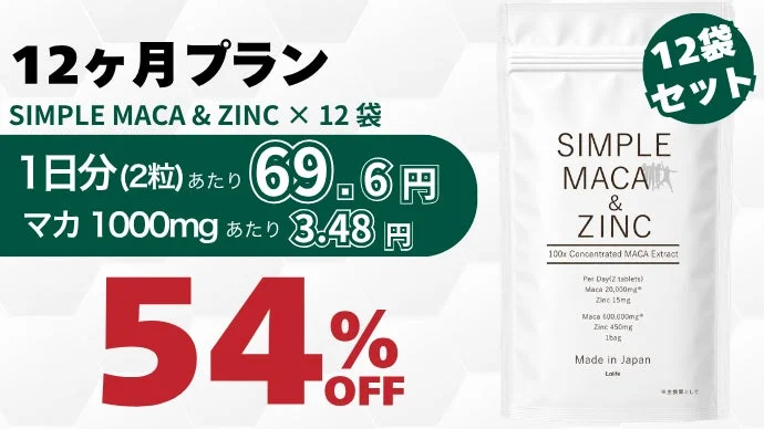12ヶ月プラン