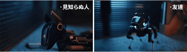 Siriusの顔認識