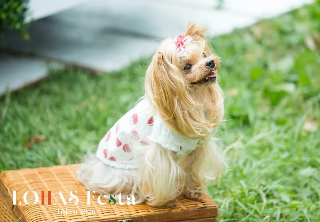 ペット同伴可能を示唆する犬の画像