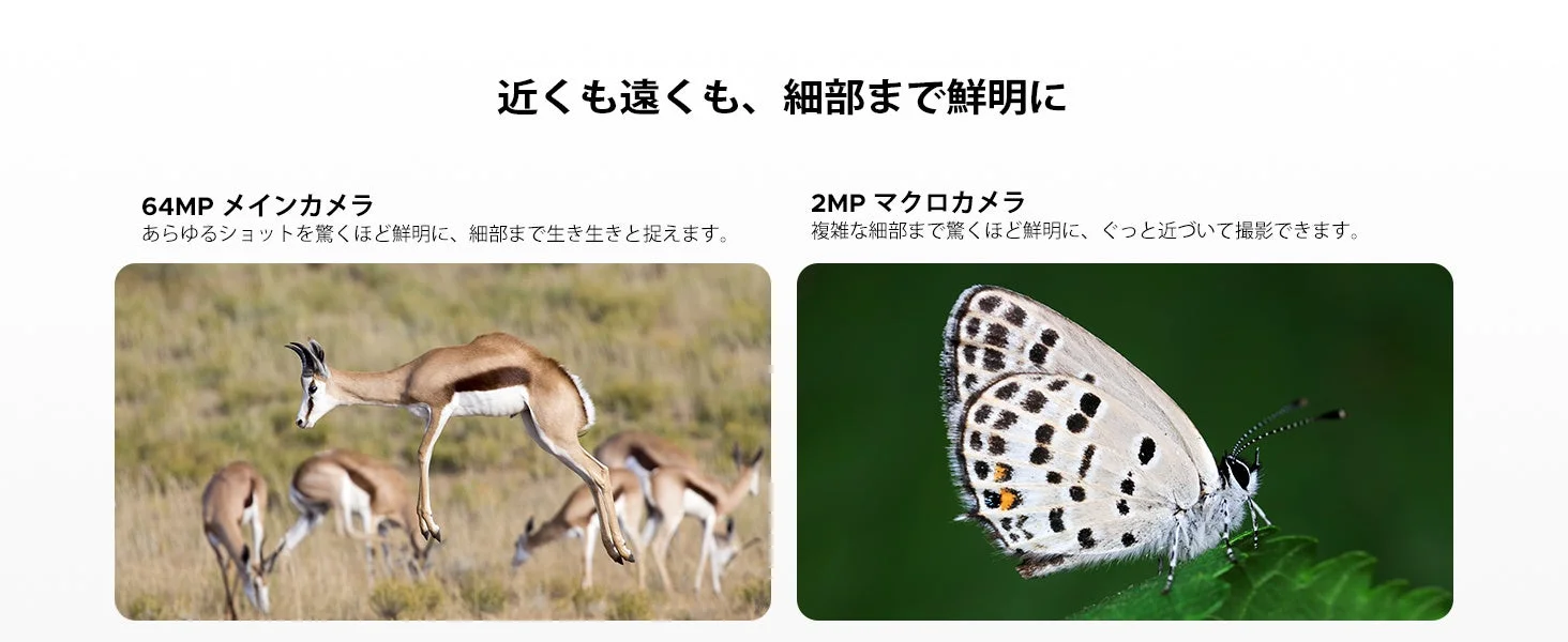 遠くの動物や近くの昆虫の細部まで鮮明に捉える、64MPメインカメラと2MPマクロカメラの性能を紹介する画像
