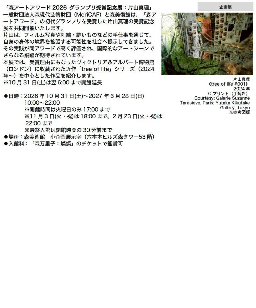 片山真理の受賞記念展