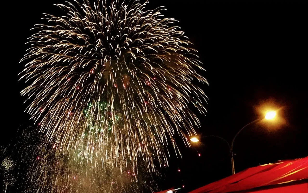 夜空に大きく広がる豪華な花火の打ち上げ