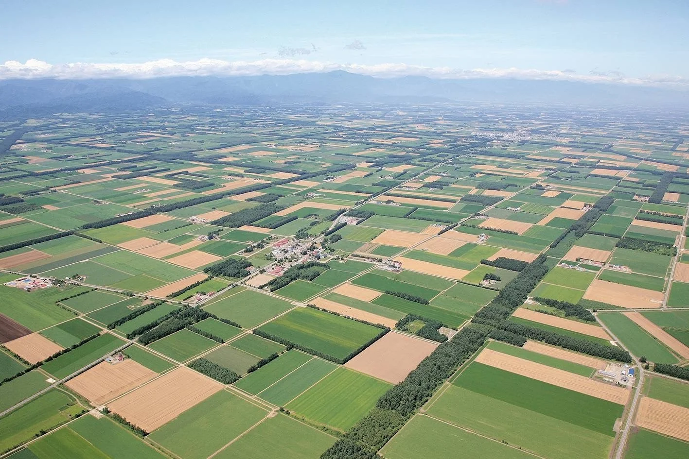 広大な農地が広がる田園風景