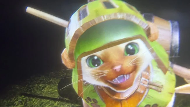 アイルーのクローズアップ
