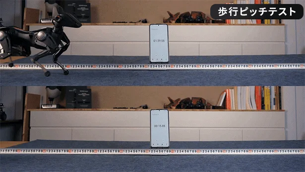 Siriusの歩行テスト