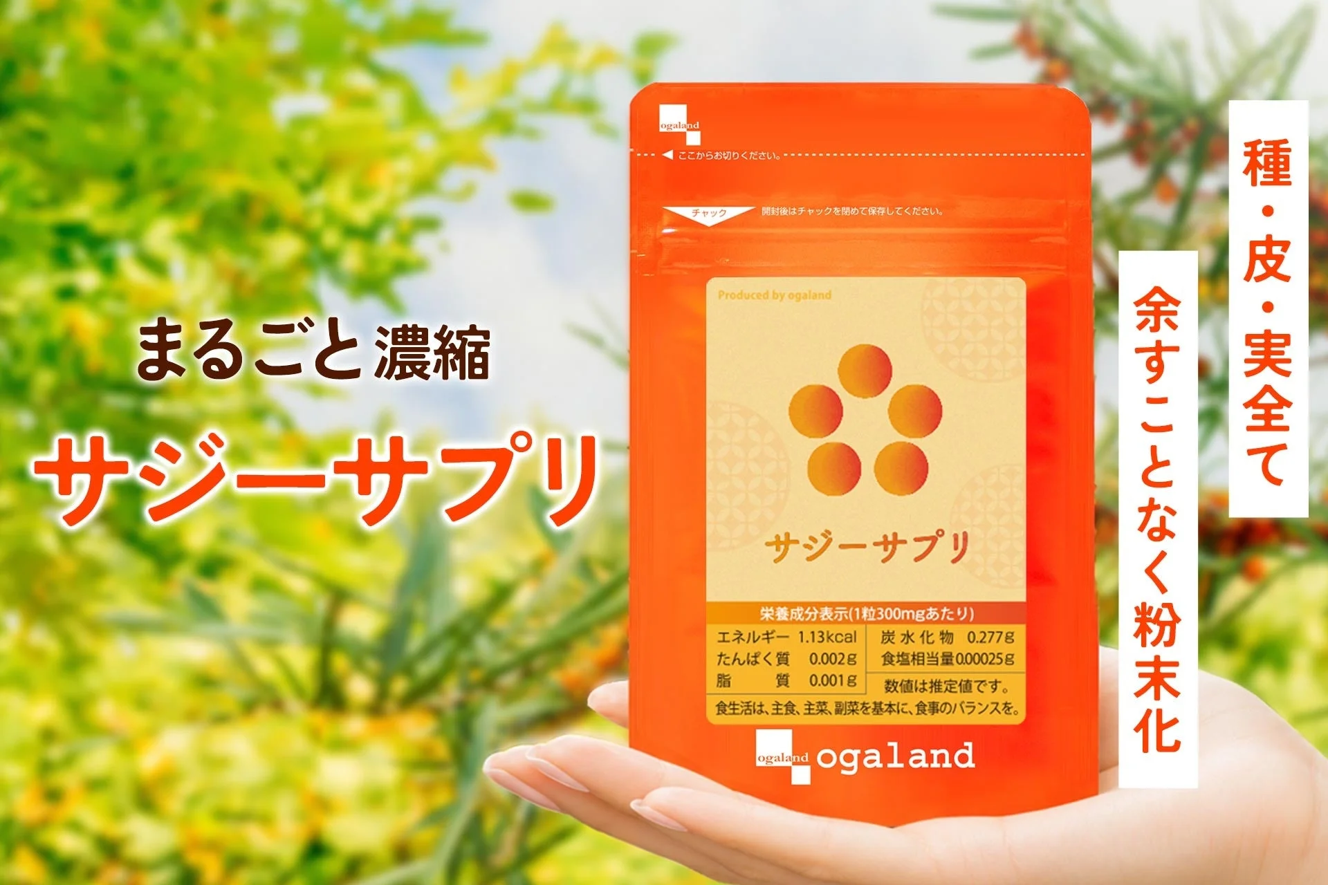 まるごと濃縮サジーサプリ