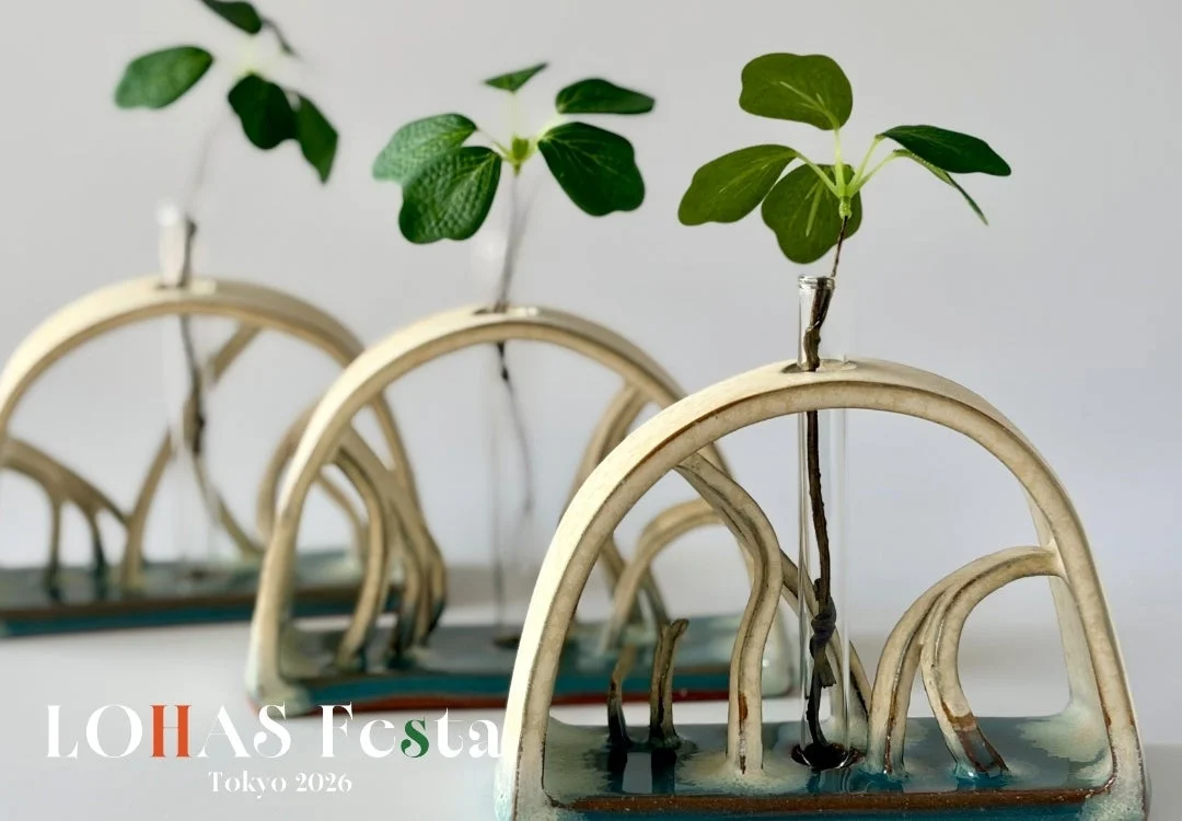 観葉植物と陶器