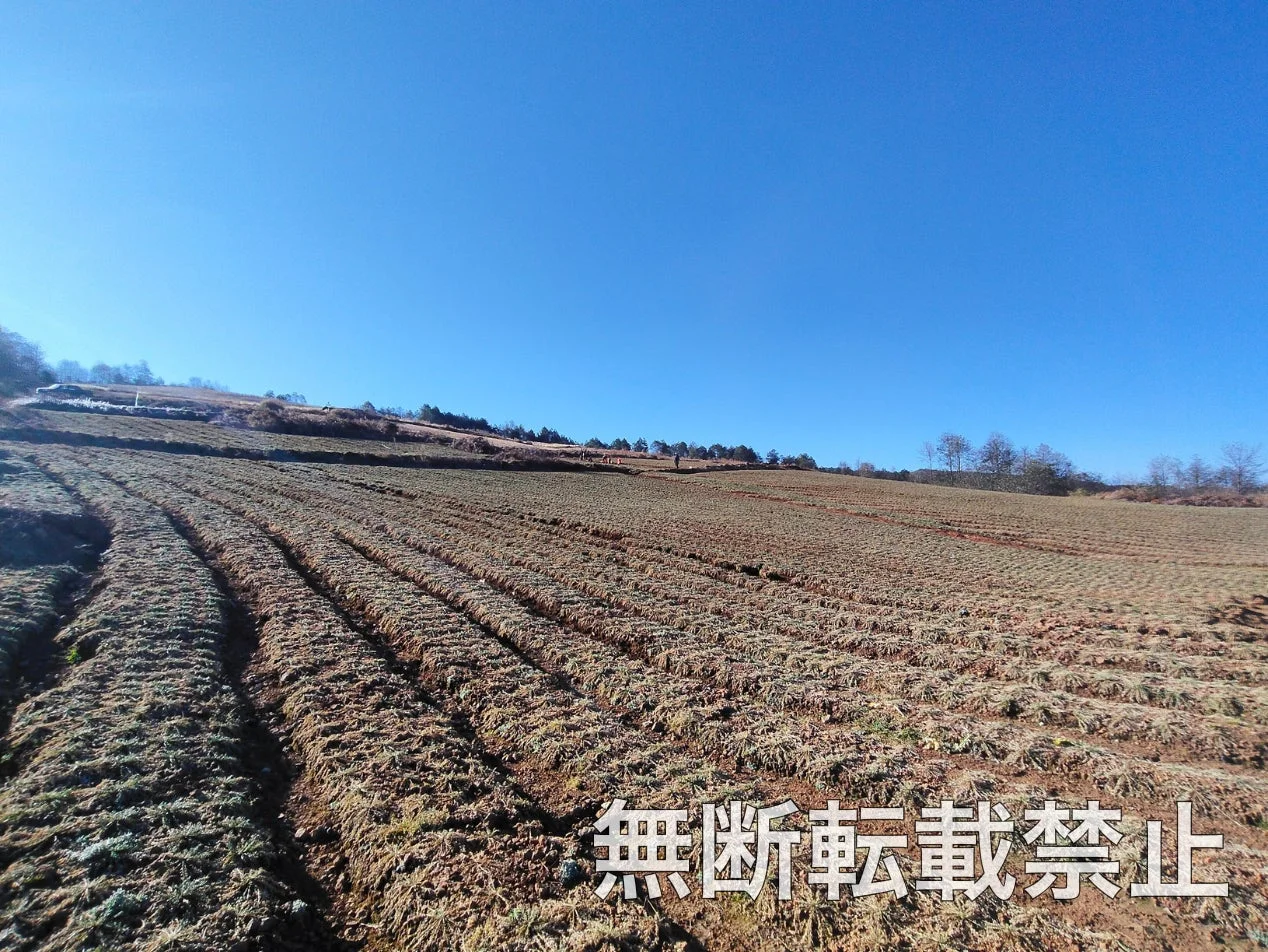 広大な畑が広がる丘陵地