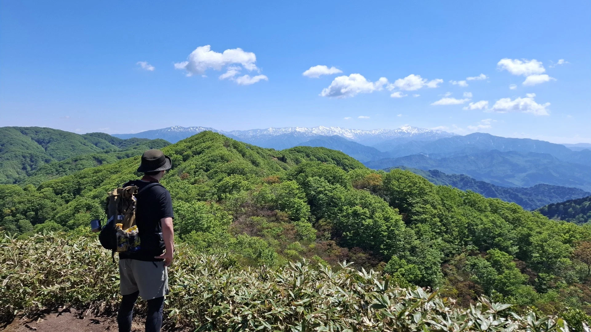 山を眺める人物