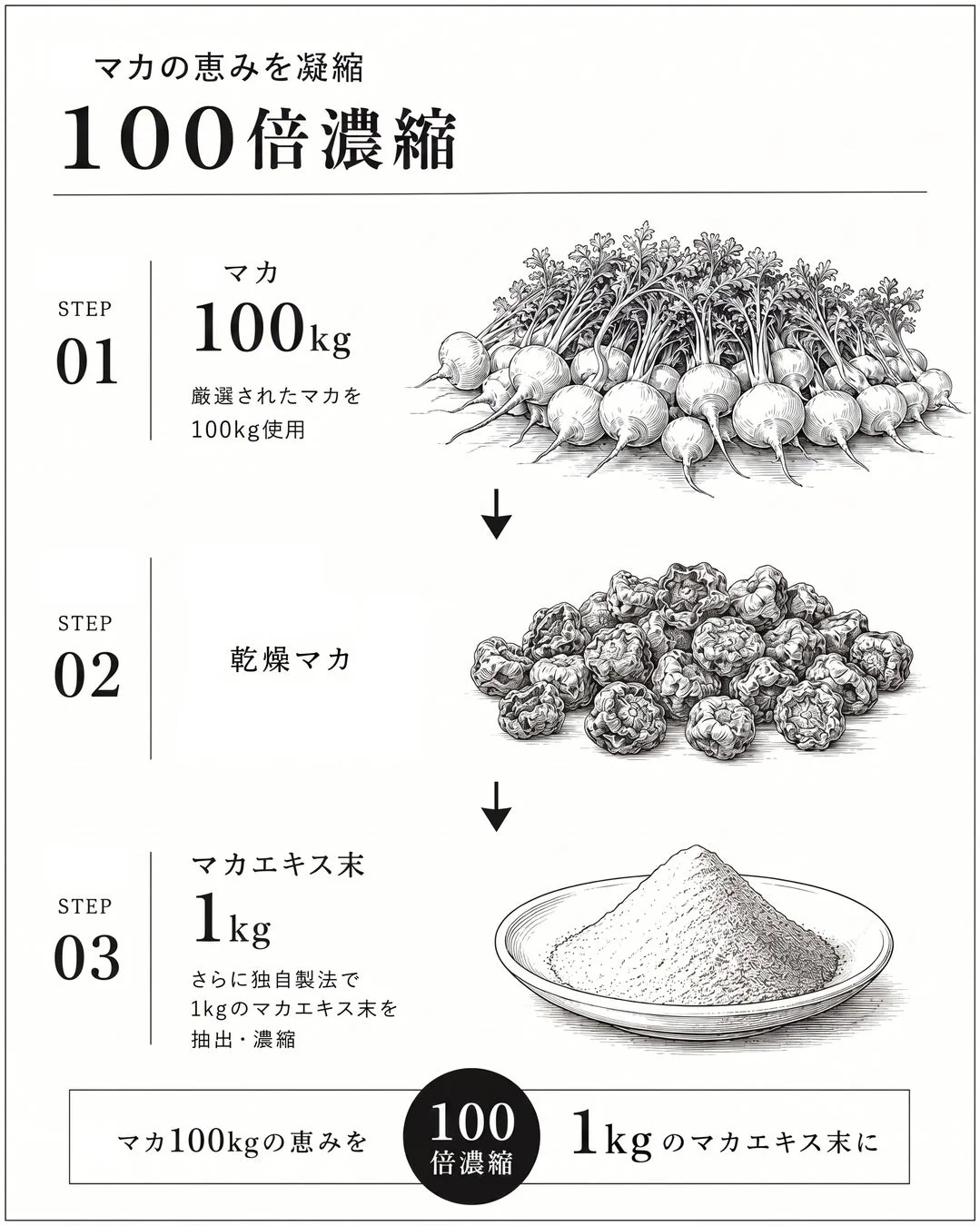 マカ100kgから1kgのマカエキス末を生成する100倍濃縮の製造工程