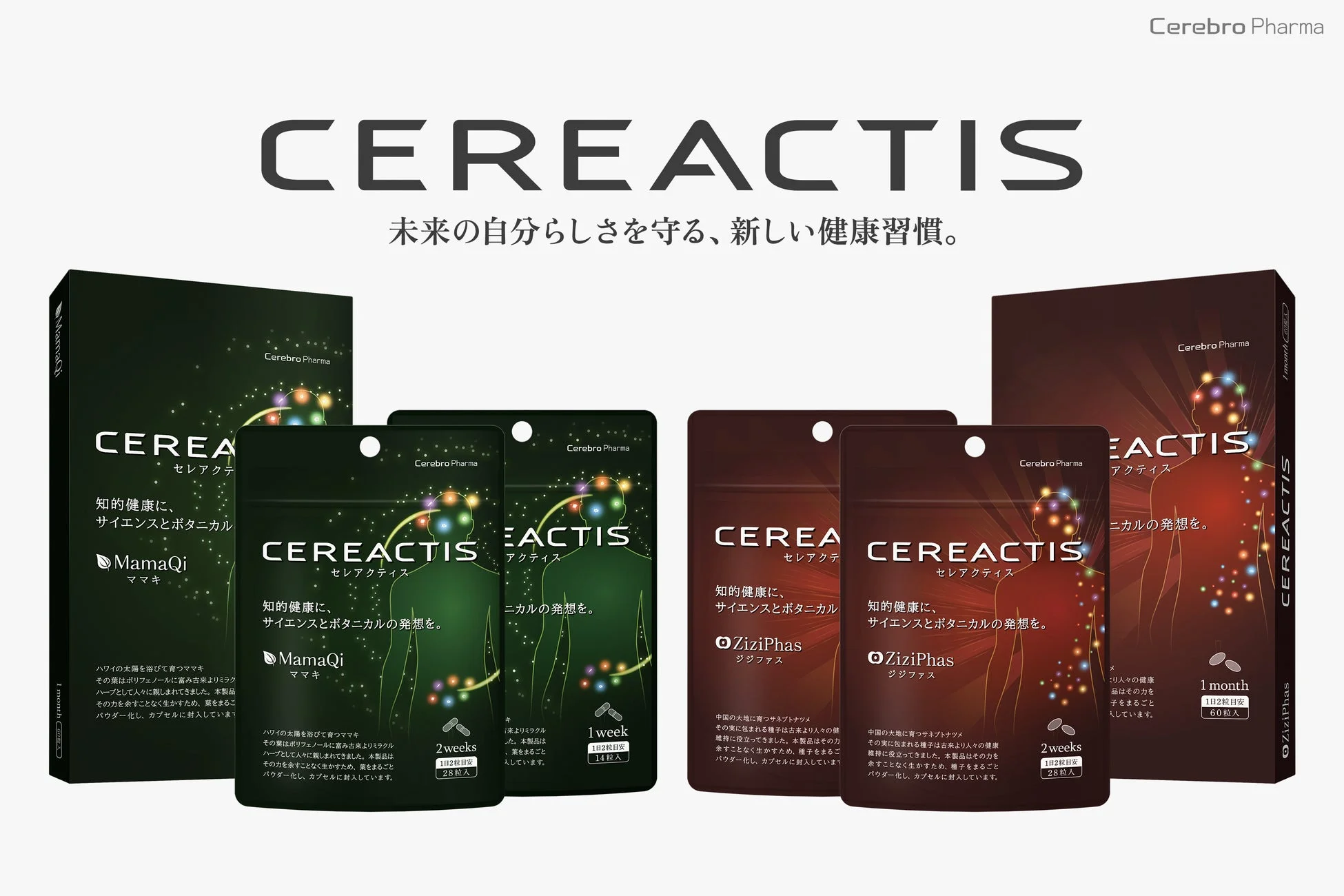 CEREACTISシリーズの製品ラインナップ