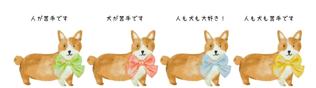 リボンをつけたコーギーのイラスト