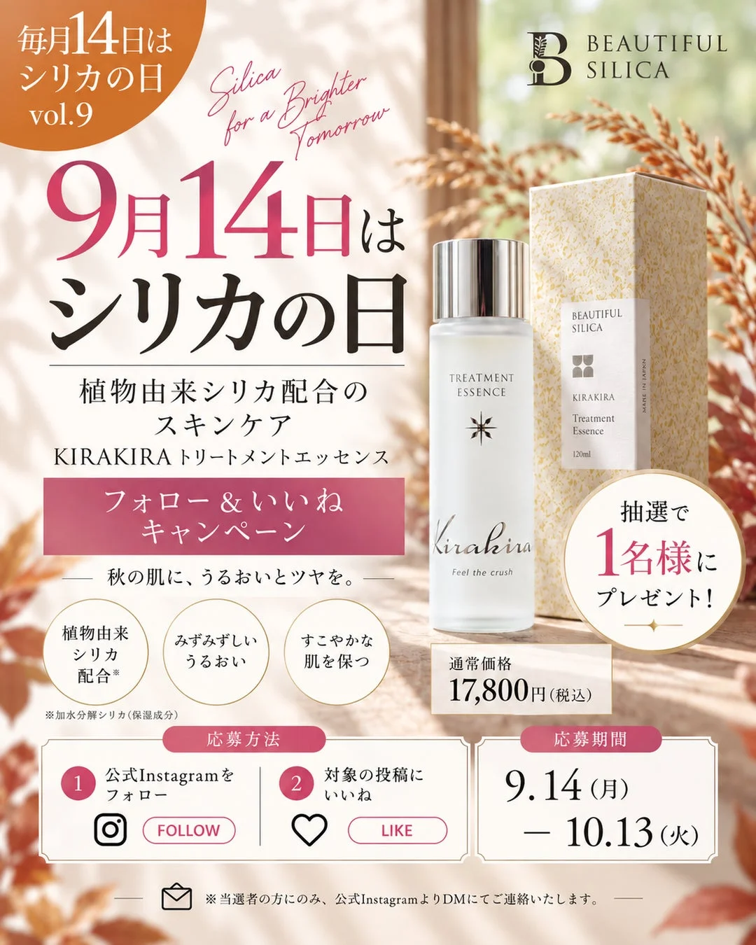 キャンペーン告知
