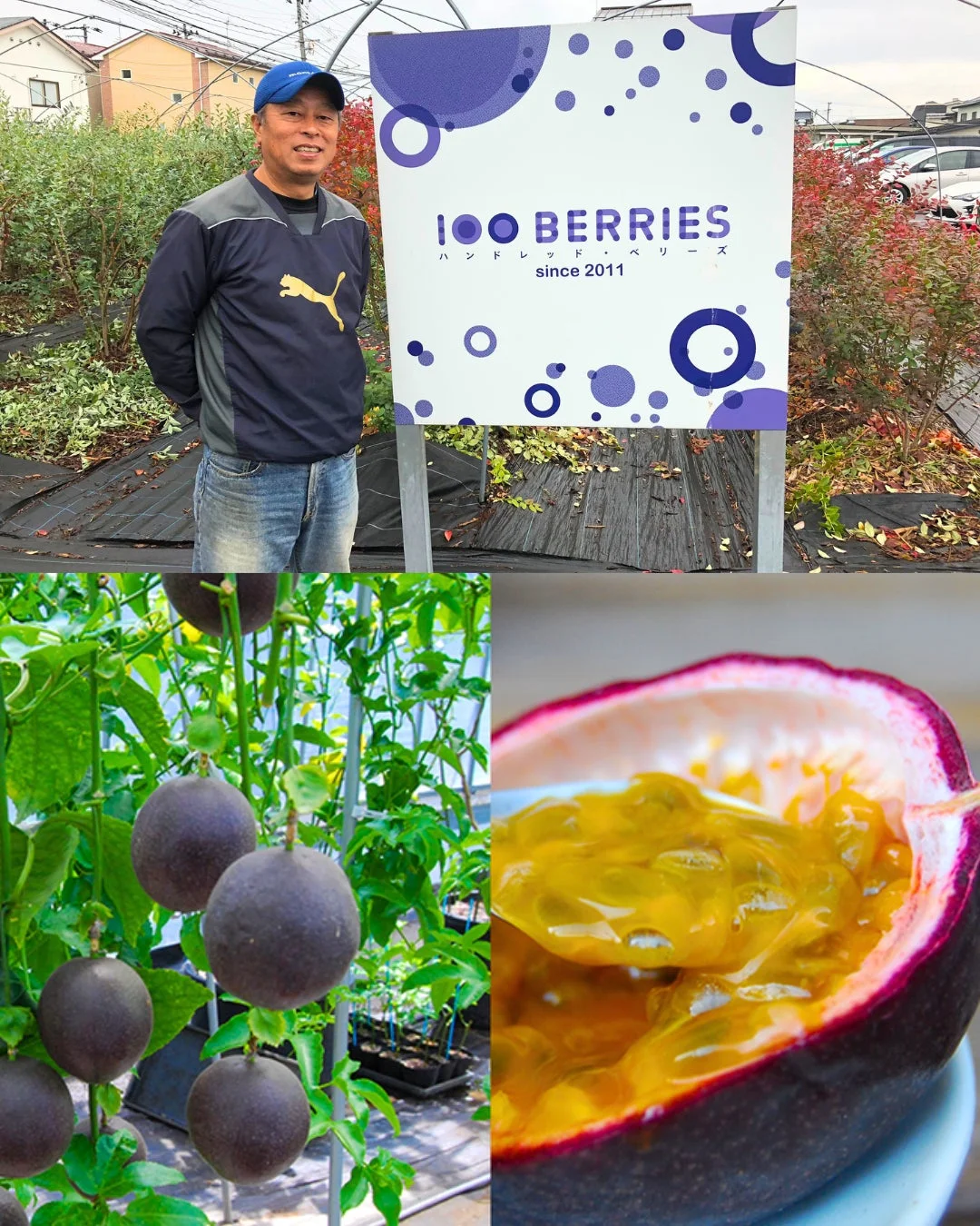 100 BERRIES 石岡さん
