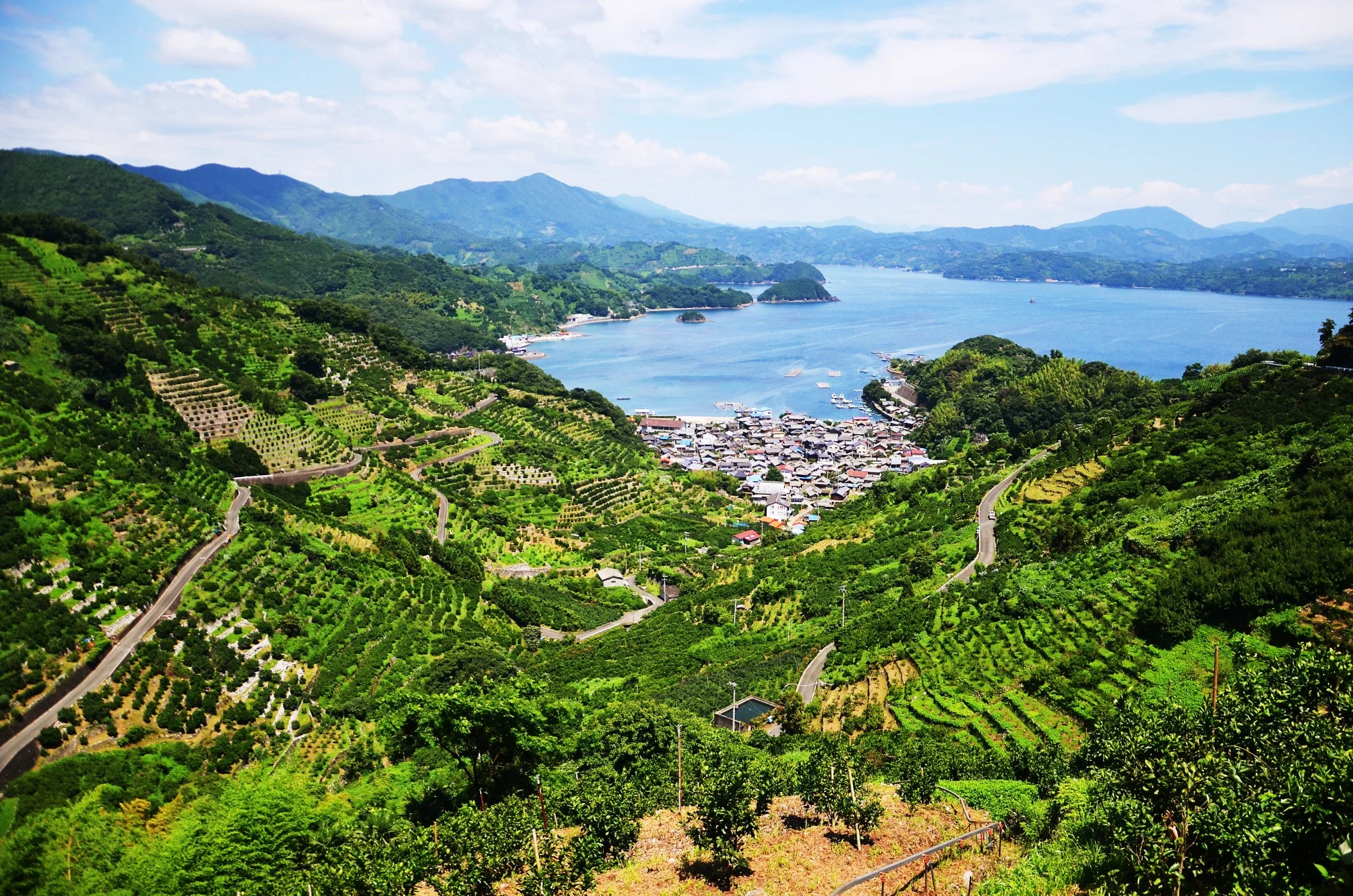 豊かな宇和海