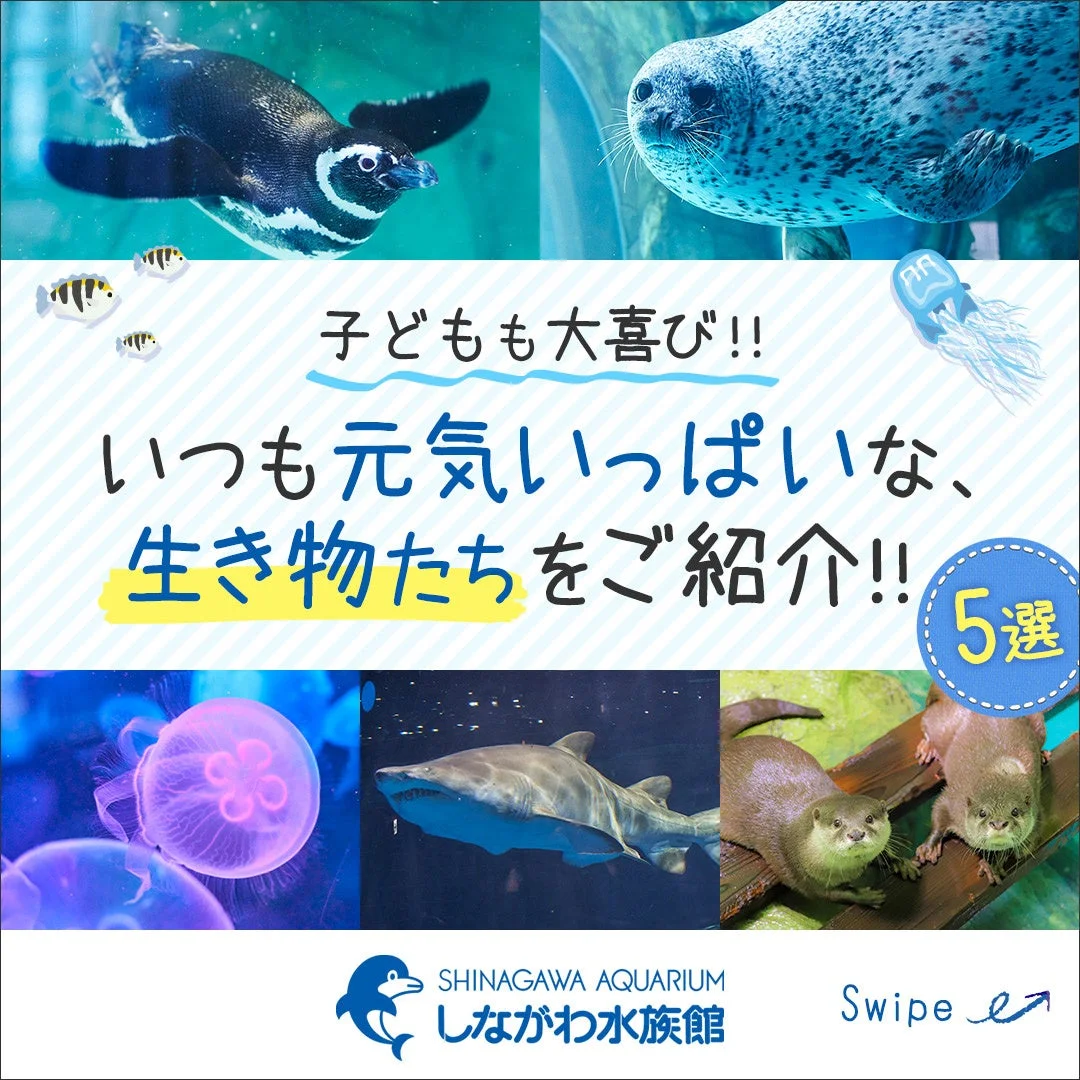 しながわ水族館が、子どもも大喜びする元気いっぱいの生き物たち5選を紹介する画像