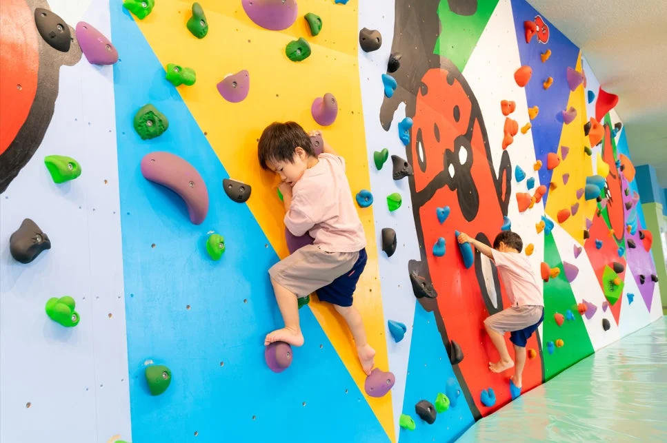 子供 ボルダリング クライミング 室内遊び スポーツジム カラフル 運動 アクティビティ ホールド キッズ