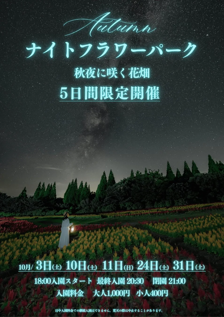ナイトフラワーパーク Autumn 秋夜に咲く花畑 イベント情報