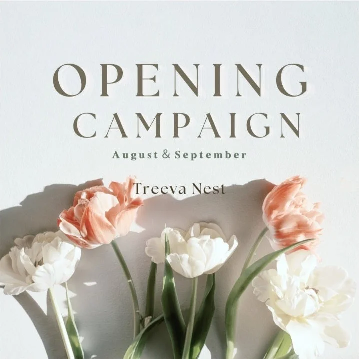 Treva Nestの8月と9月に開催されるオープニングキャンペーンの告知画像です。