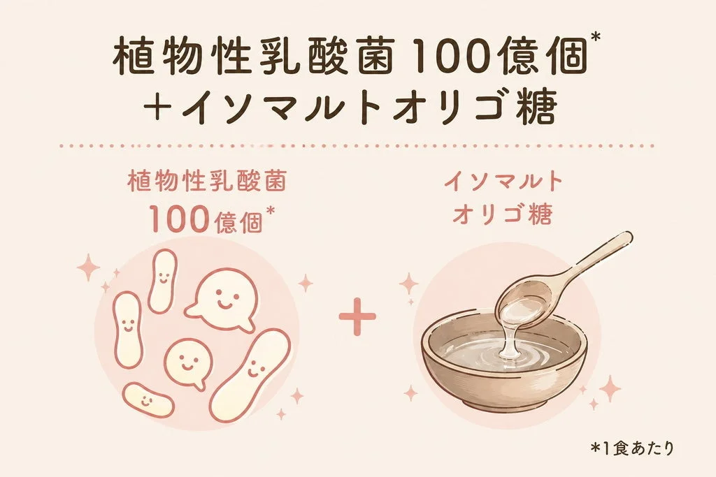 乳酸菌とオリゴ糖のイラスト