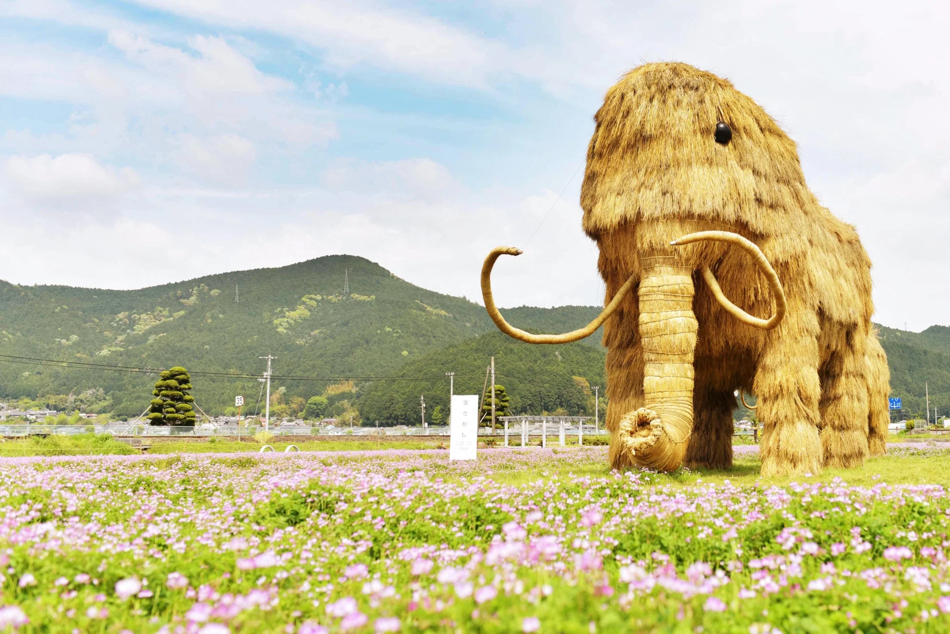 わらマンモス