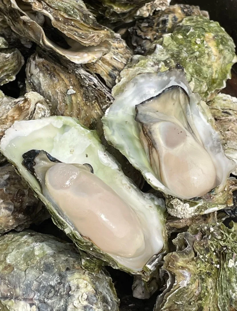 蒸し牡蠣
